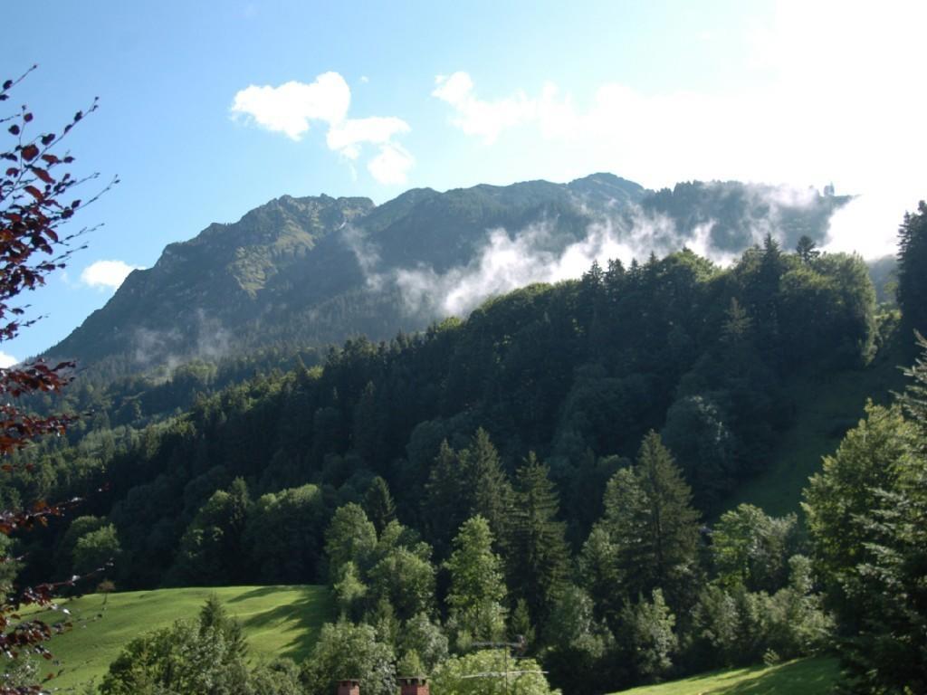 Ferienhaus Arkadia Oberstdorf Oda fotoğraf